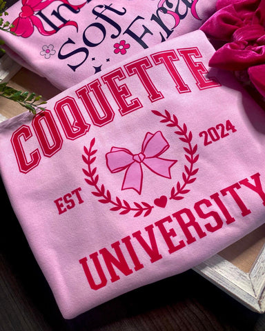 Coquette/ Pink Sweatshirt